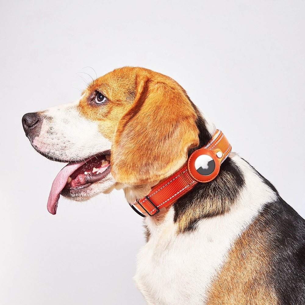 Apple AirTag Hundehalsband mit Reflektor M, schwarz